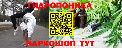 индика Кунгур