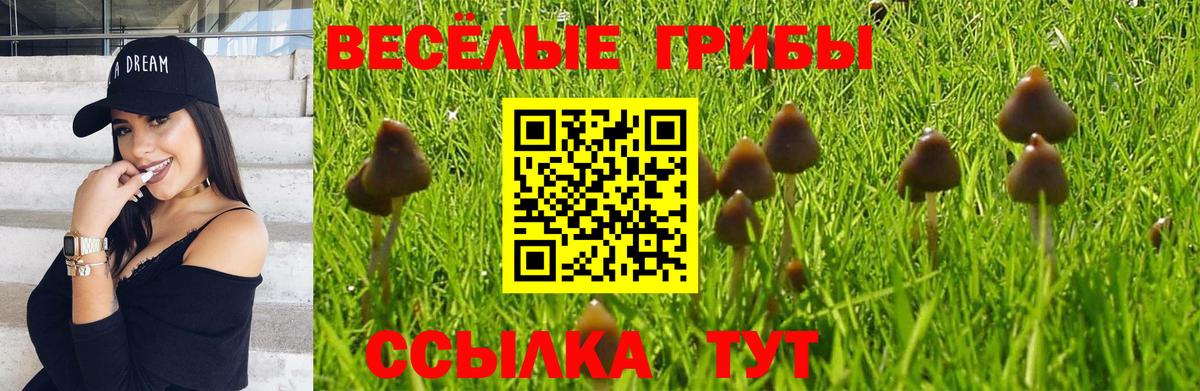 Псилоцибиновые грибы Psilocybe Донской